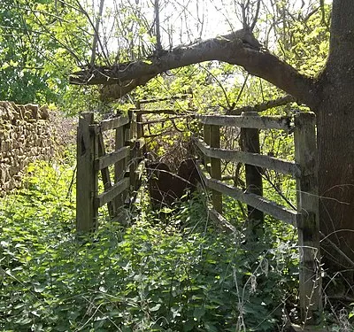 Cattle crush