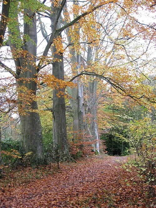 Swindon to Ridgeway Link