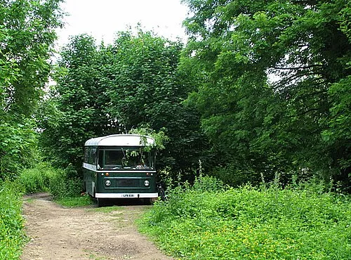 Cotswold Commons and Beechwoods