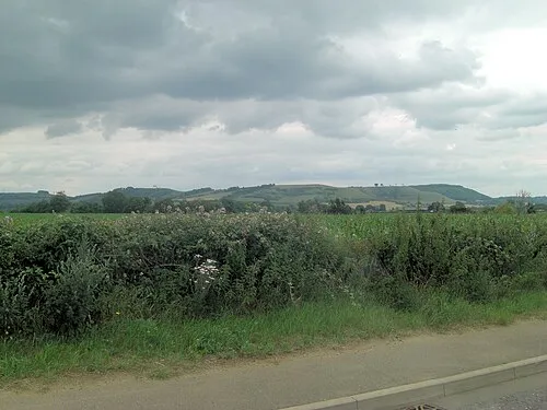 Amazing field beside the A342