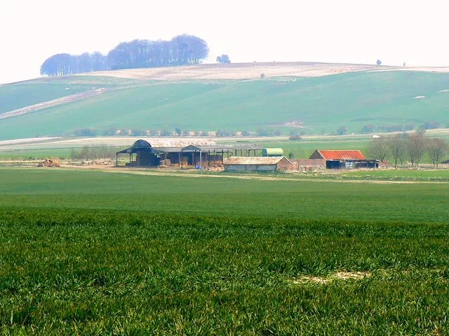 Farmland and buildings, near Hackpen White Horse, Wiltshire The buildings are identified on the 1:25K OS map as 'Field Barn' The image was obtained from what is called on the maps 'Other route with public access'. The trees on the left skyline are believed to comprise 'Walker's Plantation' at SU128757.