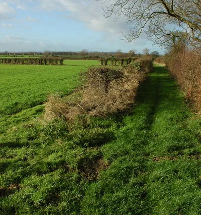 Bridleway at Elmstone Hardwicke Bridleway to Piffs Elm from Elmstone Hardwicke. The constant roar of traffic on the nearby M5 spoilts the walk along this right of way.