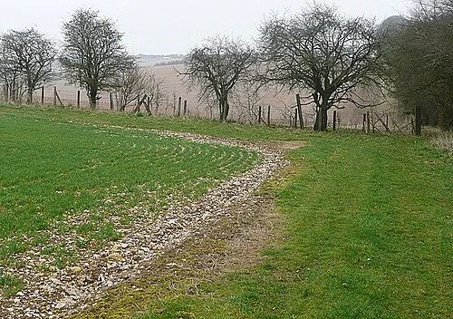Along the Portway