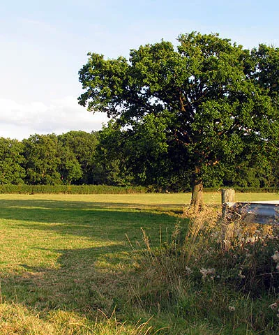 Farmland near Holtwood. This farmland is east of the minor road, in a square that is mostly farmland.