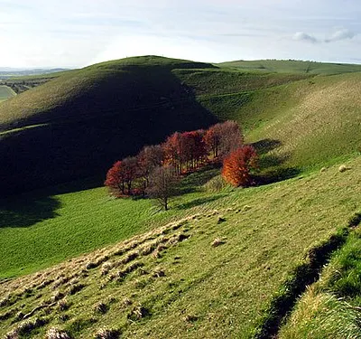Knap Hill Looking across the combe to the east of the hill.