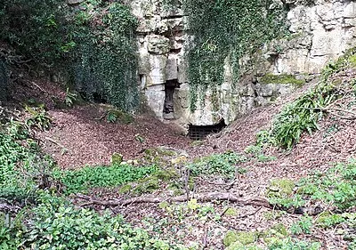 Disused mine, Iron Mills Common