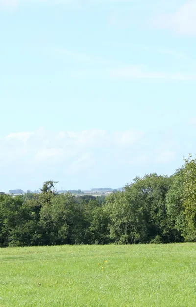 2010 : From a footpath in Lucknam Park