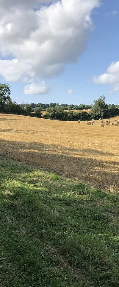Bridleway and rolls of straw