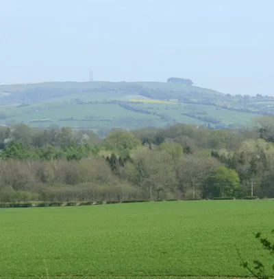 2010 : South of east near Cuff's Corner