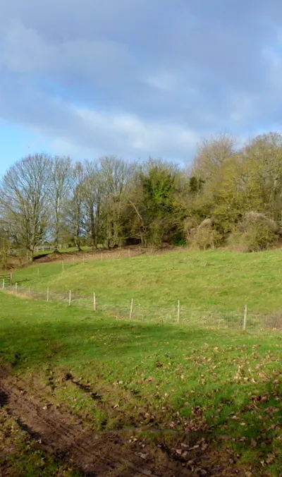 Bredon Hill's lower slopes, 2