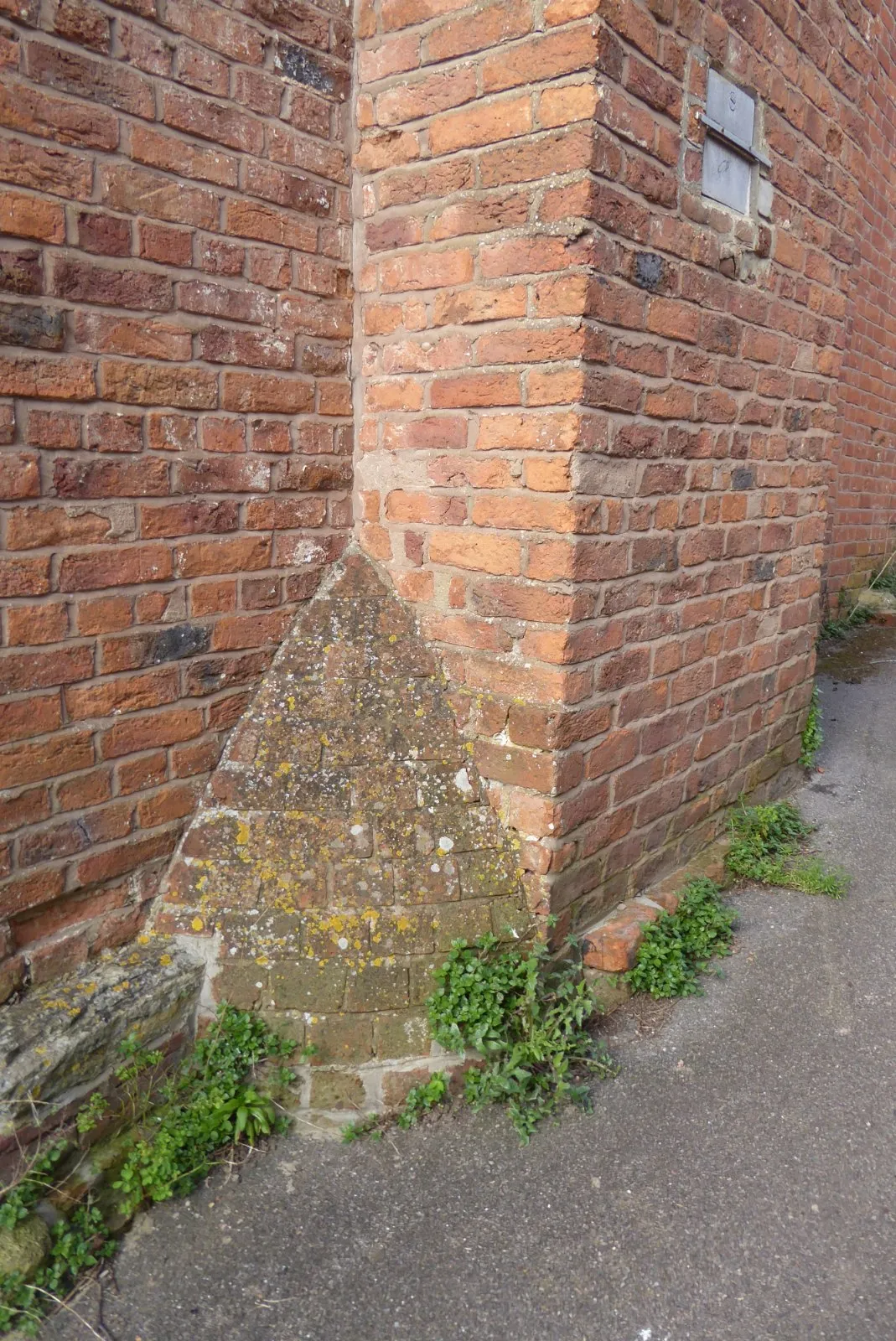 A urine deflector