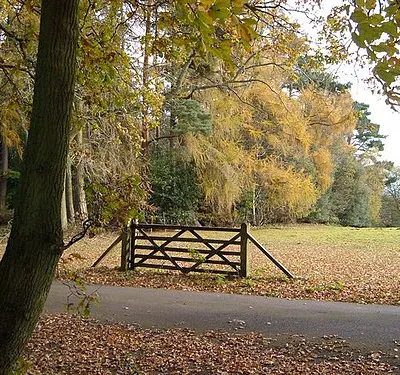 Near Chilswell House. Looking east to the edge of the grounds of the Carmelite Priory, Chilswell House (home of Robert Bridges). Taken from the bridleway on the edge of Youlbury Scout Camp.
