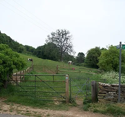 Bridleway meets road