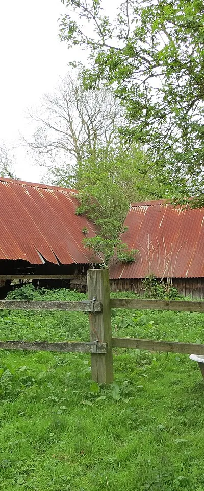 Abandoned Farm - May 2012