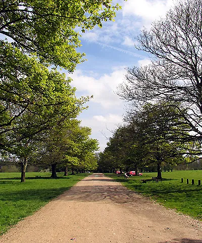Hungerford Common. This is a view of the lane that runs south east across the grid square and is situated in the north east section of the grid square. The picture was taken somewhat south east of the parking, looking southeast.