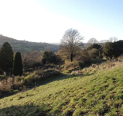A lawn with a view