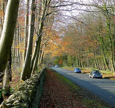 A436; late autumn