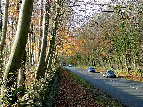 A436; late autumn