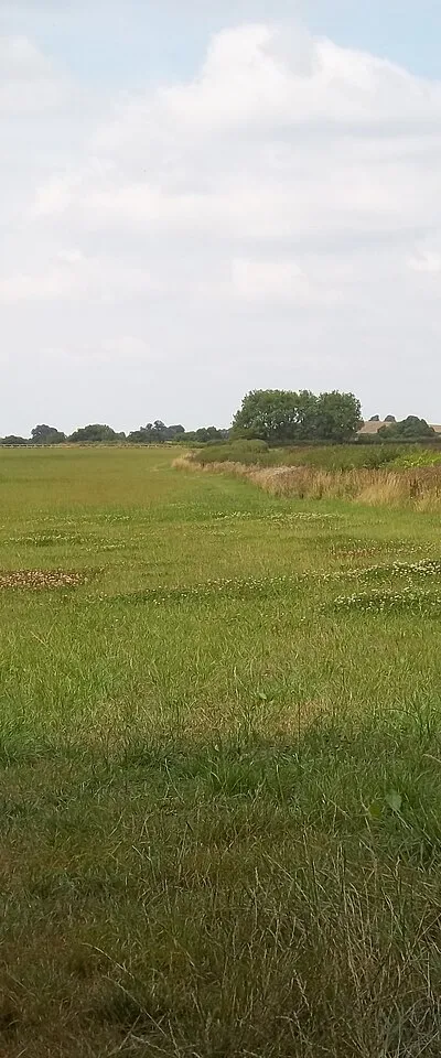 Field edge footpath
