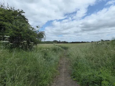 Bridlepath to Buckland Marsh