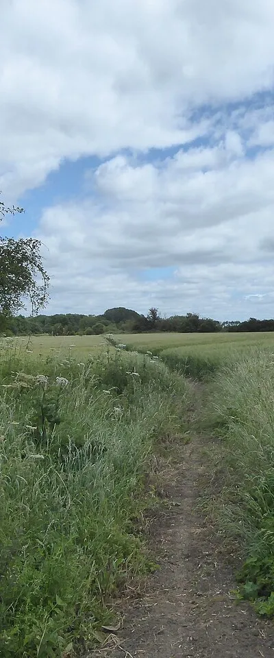 Bridlepath to Buckland Marsh