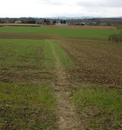 Footpath to Pensham The footpath to Pensham from Pensham Hill crosses this field of winter cereals before reaching the farm at Pensham.