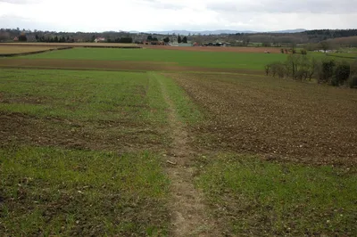 Footpath to Pensham The footpath to Pensham from Pensham Hill crosses this field of winter cereals before reaching the farm at Pensham.