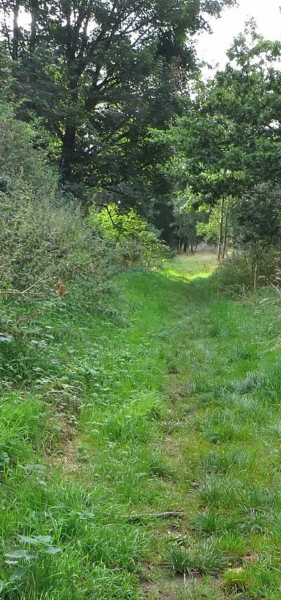 Bridleway to Beaconsfield Farm