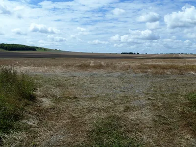 Big field