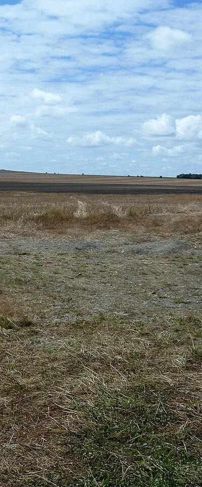 Big field