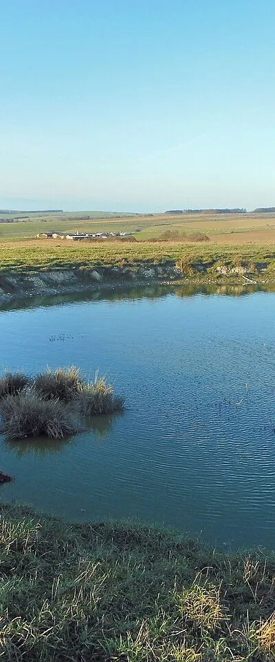 Dew Pond on Ewe Hill