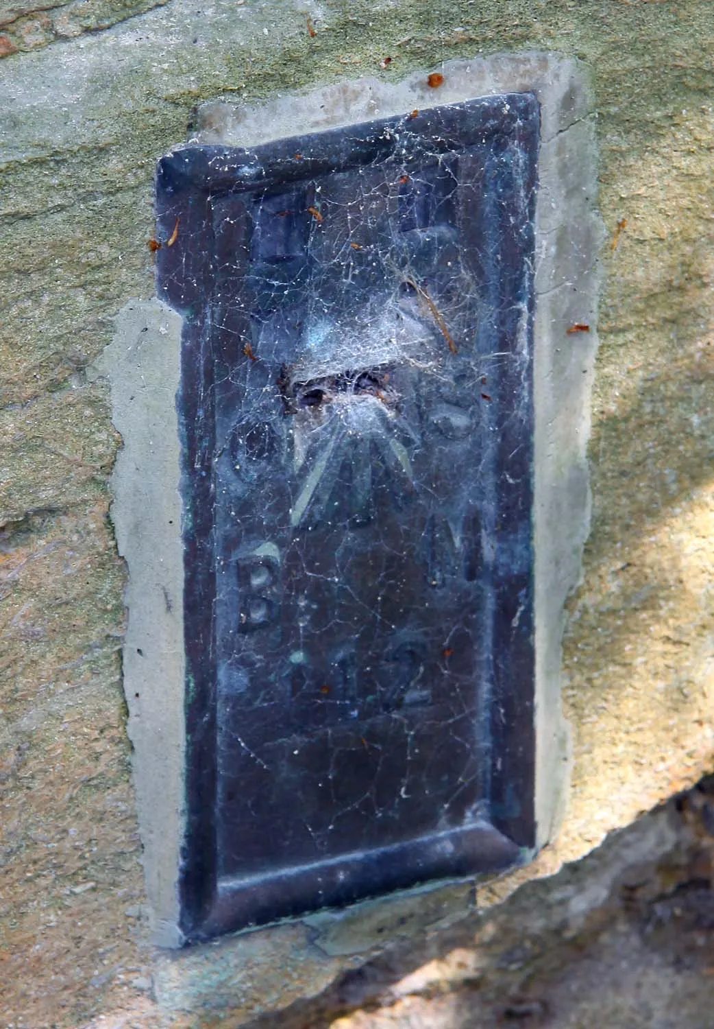 A benchmark on Tadpole Bridge