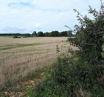 View towards Cripp's Barn