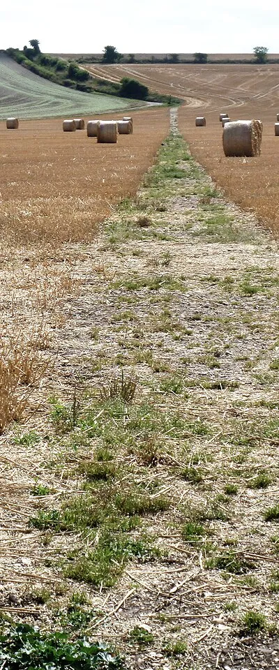Bridleways cross [2]