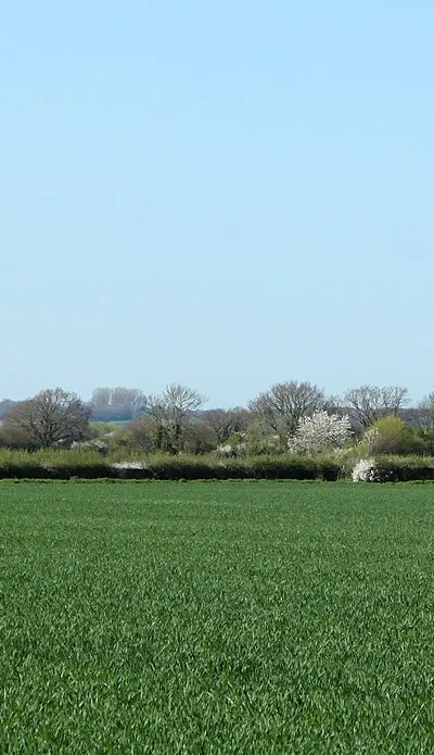 2011 : Fields north east of East Tytherton