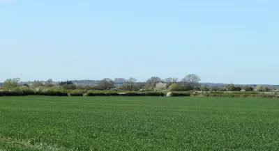 2011 : Fields north east of East Tytherton