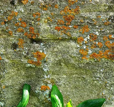 Bench mark, Church of St Mary, Longcot, Oxfordshire