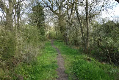 Bridleway at Heath Holm Farm