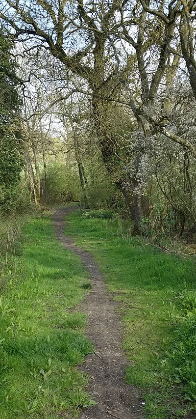 Bridleway at Heath Holm Farm
