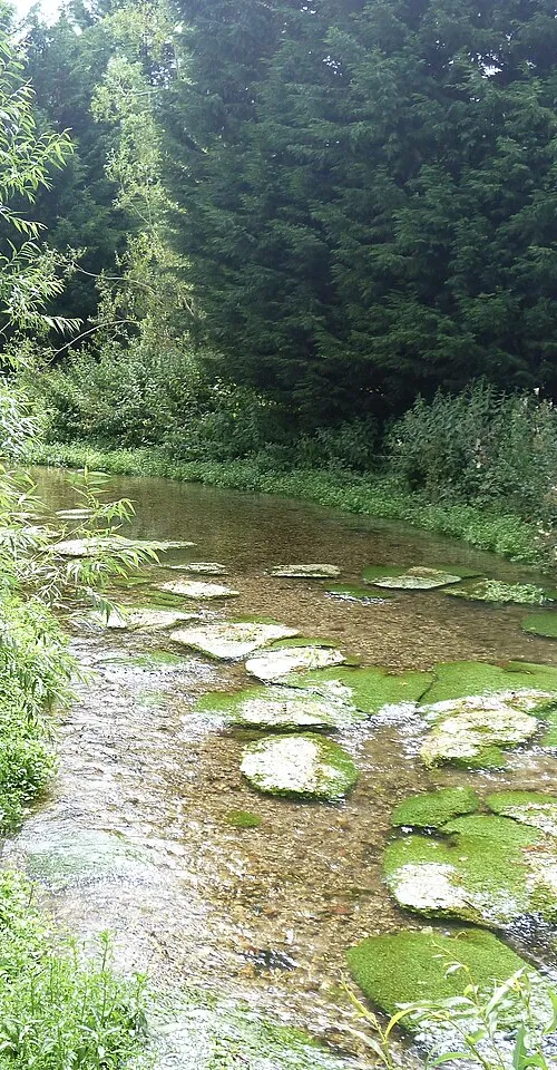 Stonebridge Meadow Nature Reserve