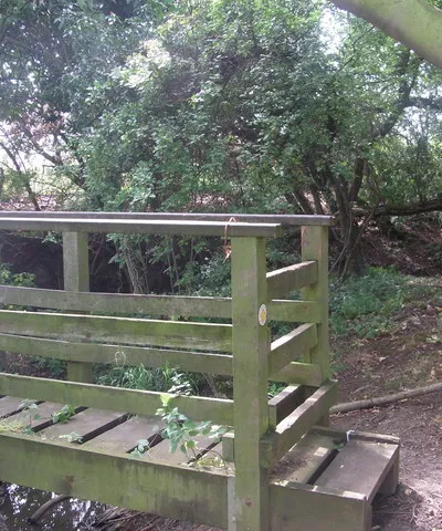 Bridge over the boundary