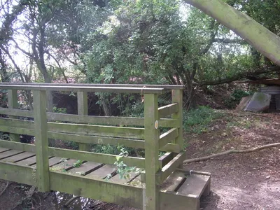 Bridge over the boundary