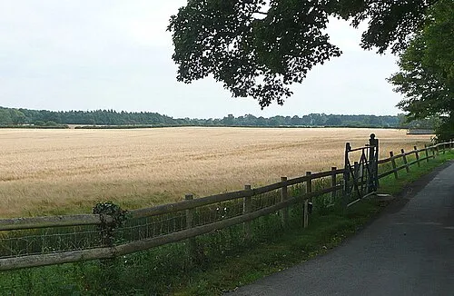 Cripps Barn