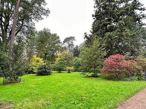 Autumn Colour