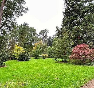 Autumn Colour