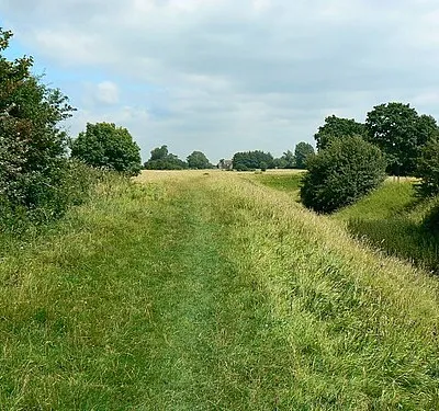 Ringsbury Camp, near Purton. This is a view facing east along the northern boundary of the hill fort. The fort is not believed to be part of the line of forts along the Ridgeway to the south such as Barbury 407159 and Liddington 742305 according to wiki Ringsbury_Camp