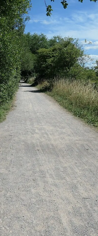 A rare bench on NCR 45