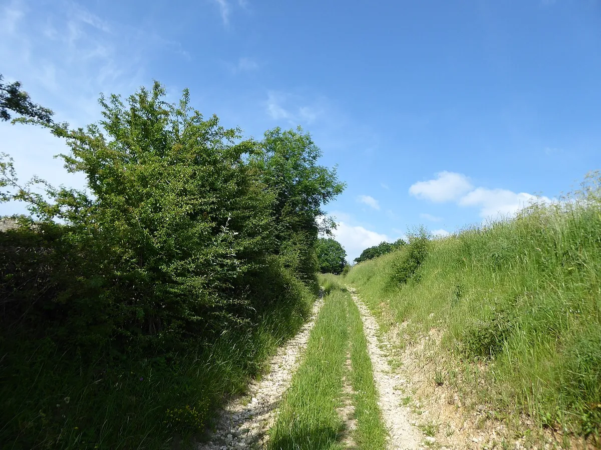 Bridleway, Maiden Hill