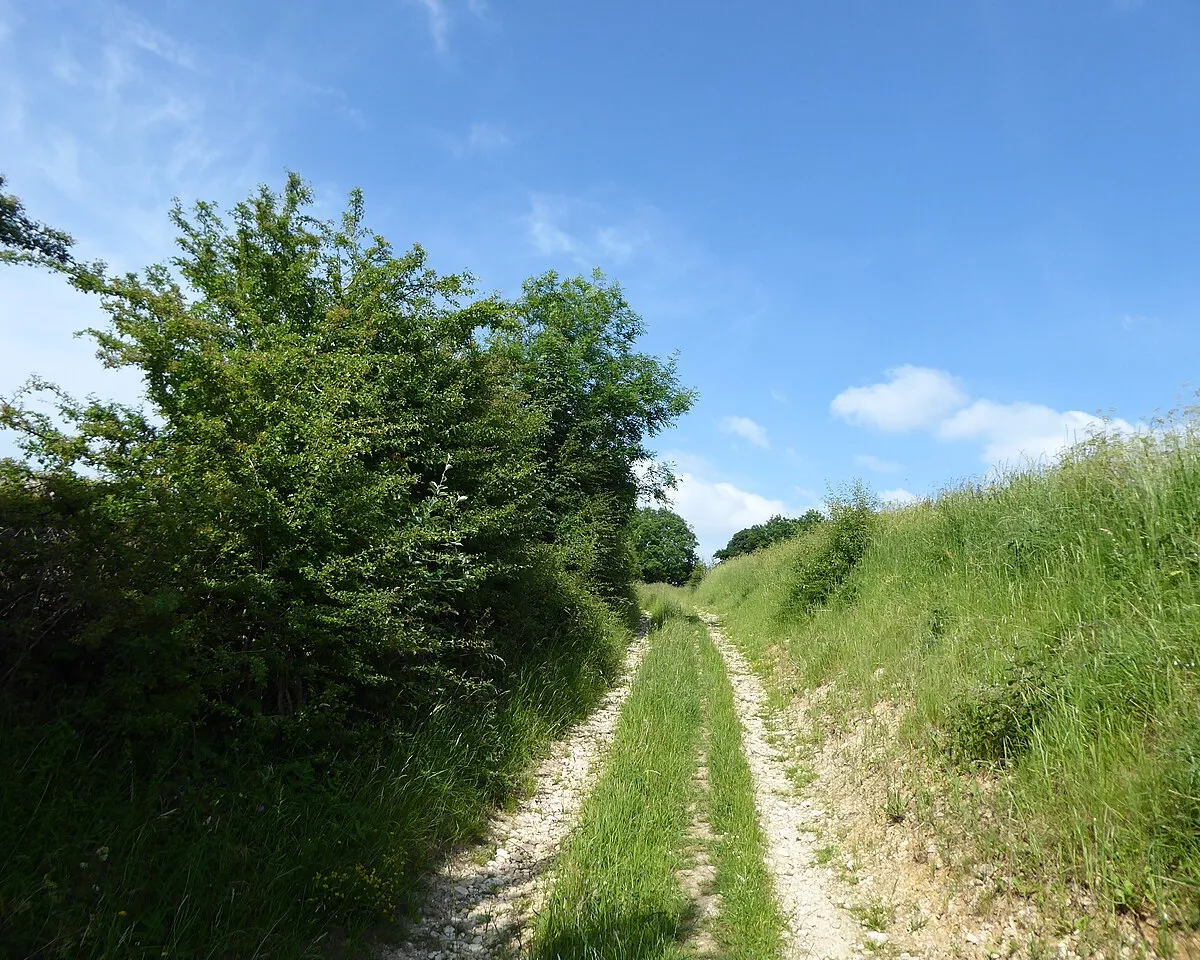 Bridleway, Maiden Hill