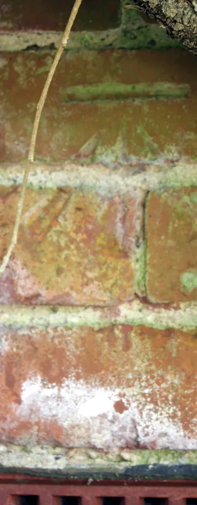 Benchmark on #181 White Cross